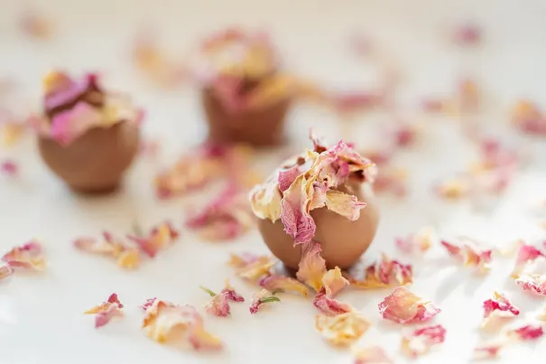 קזינו צ'ילי ספינס אפליקציית Android/iOS